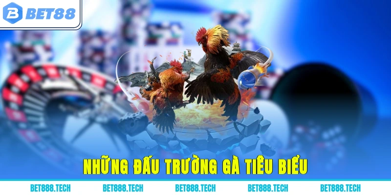 Những đấu trường gà tiêu biểu