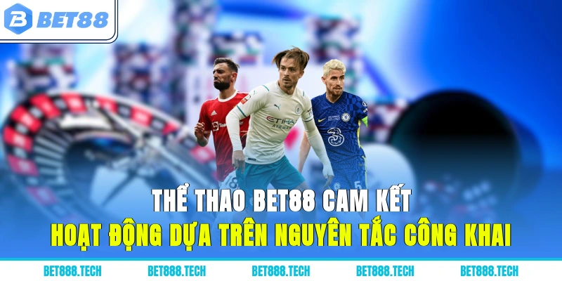 Thể thao Bet88 cam kết hoạt động dựa trên nguyên tắc công khai